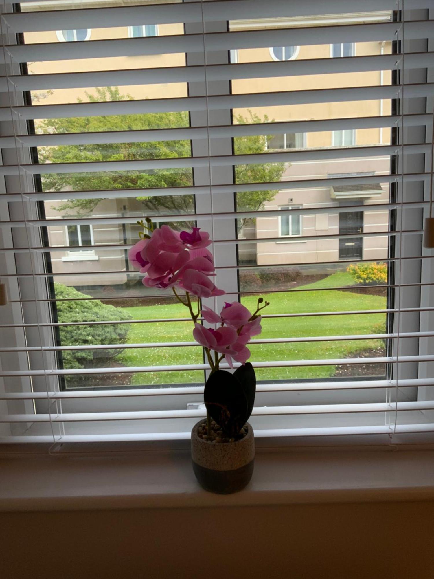 Quite And Cozy 2 Bedroom Apartment Galway Bagian luar foto